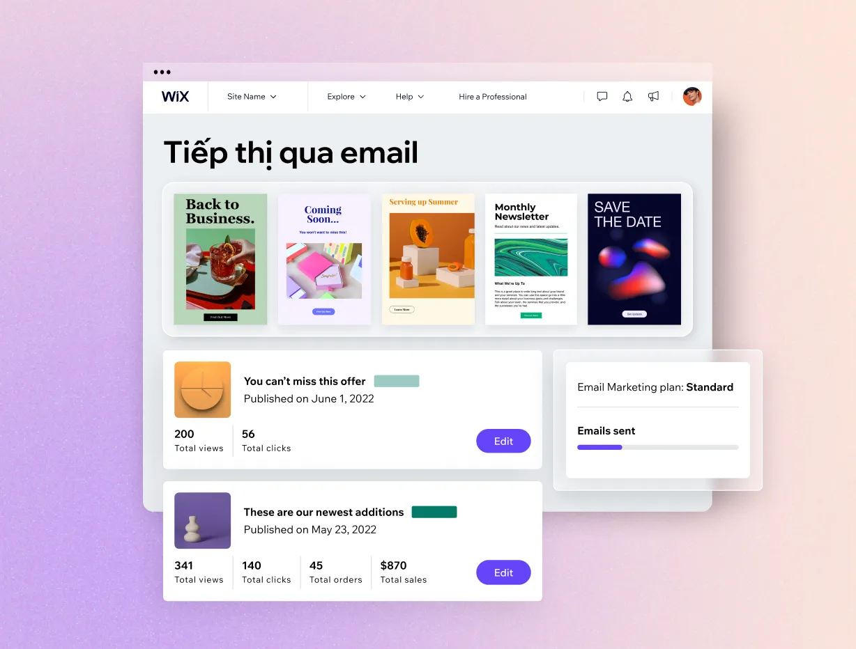 Tích hợp email marketing automation